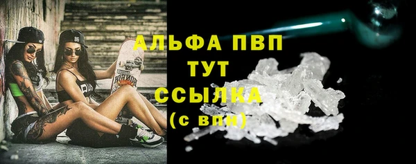 твердый Арсеньев