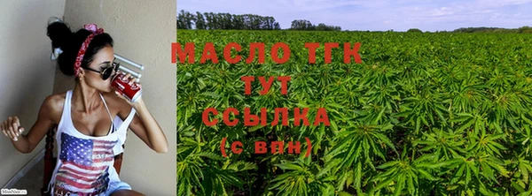 твердый Арсеньев