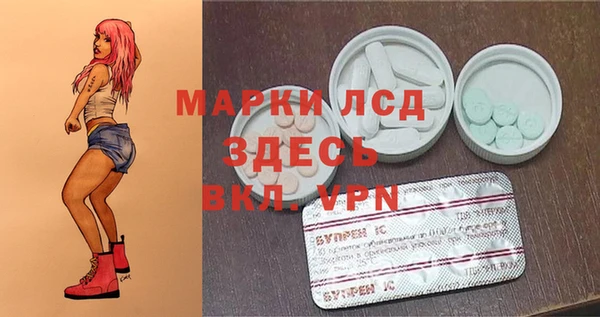 твердый Арсеньев